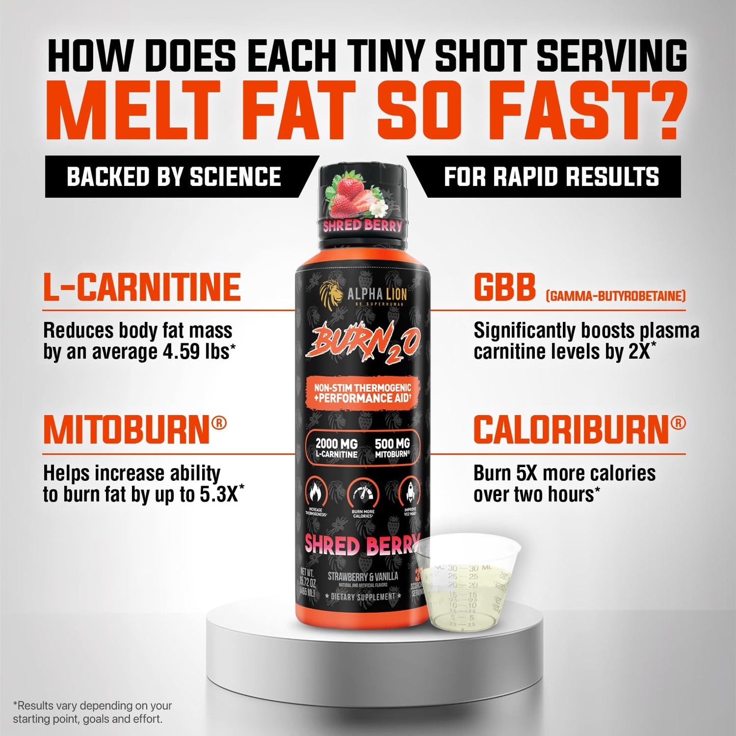 ALPHA LION Burn2O L-Carnitine Liquid 2000mg, Premium Liquid Fat Burner & Pre-Workout Supplement for Men & Women - Natural Energy & Metabolism Booster