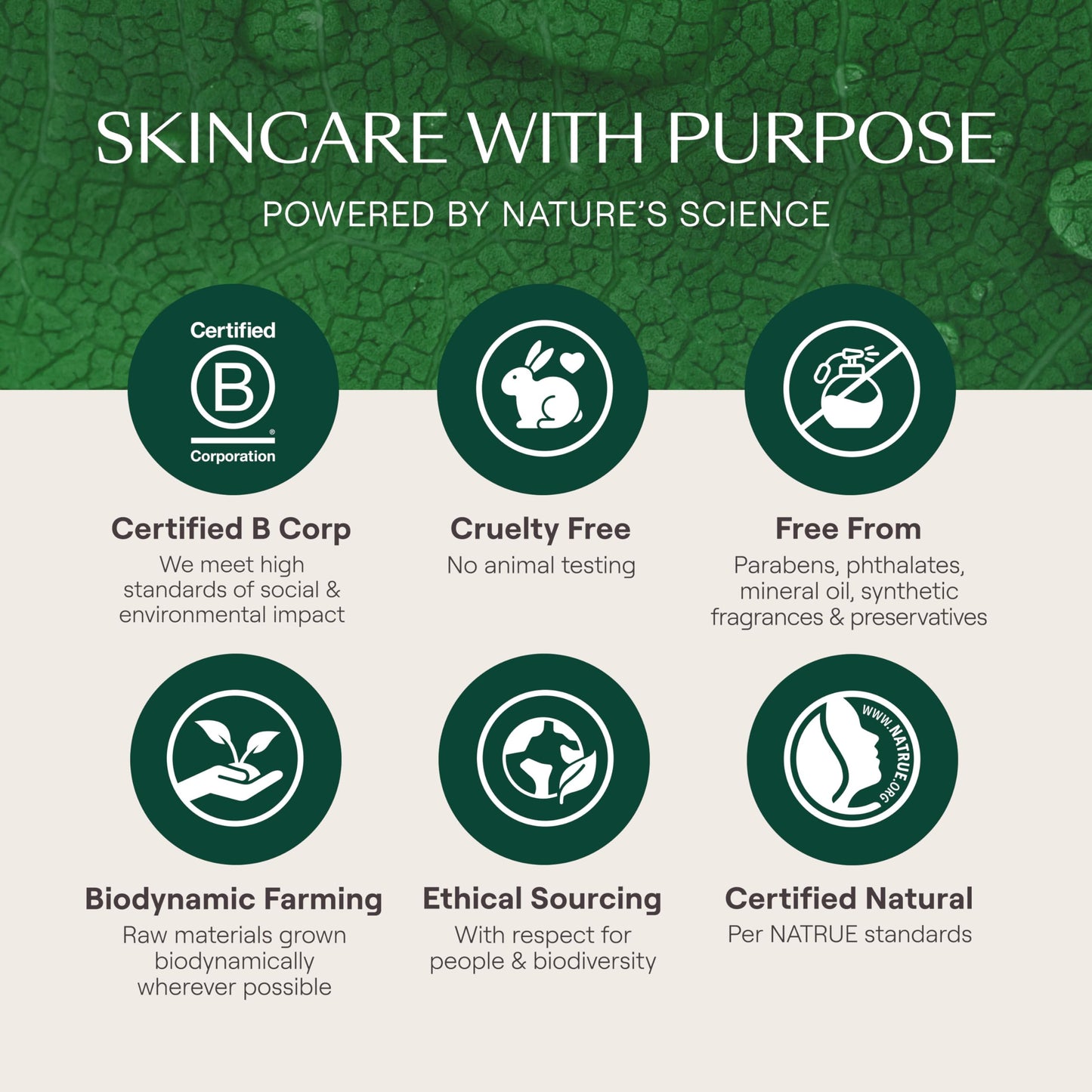 Weleda Skin Food Original Ultra-Rich Body Cream 2.5 Fluid Ounce, Plant Rich Hydrating Moisturizer with Pansy